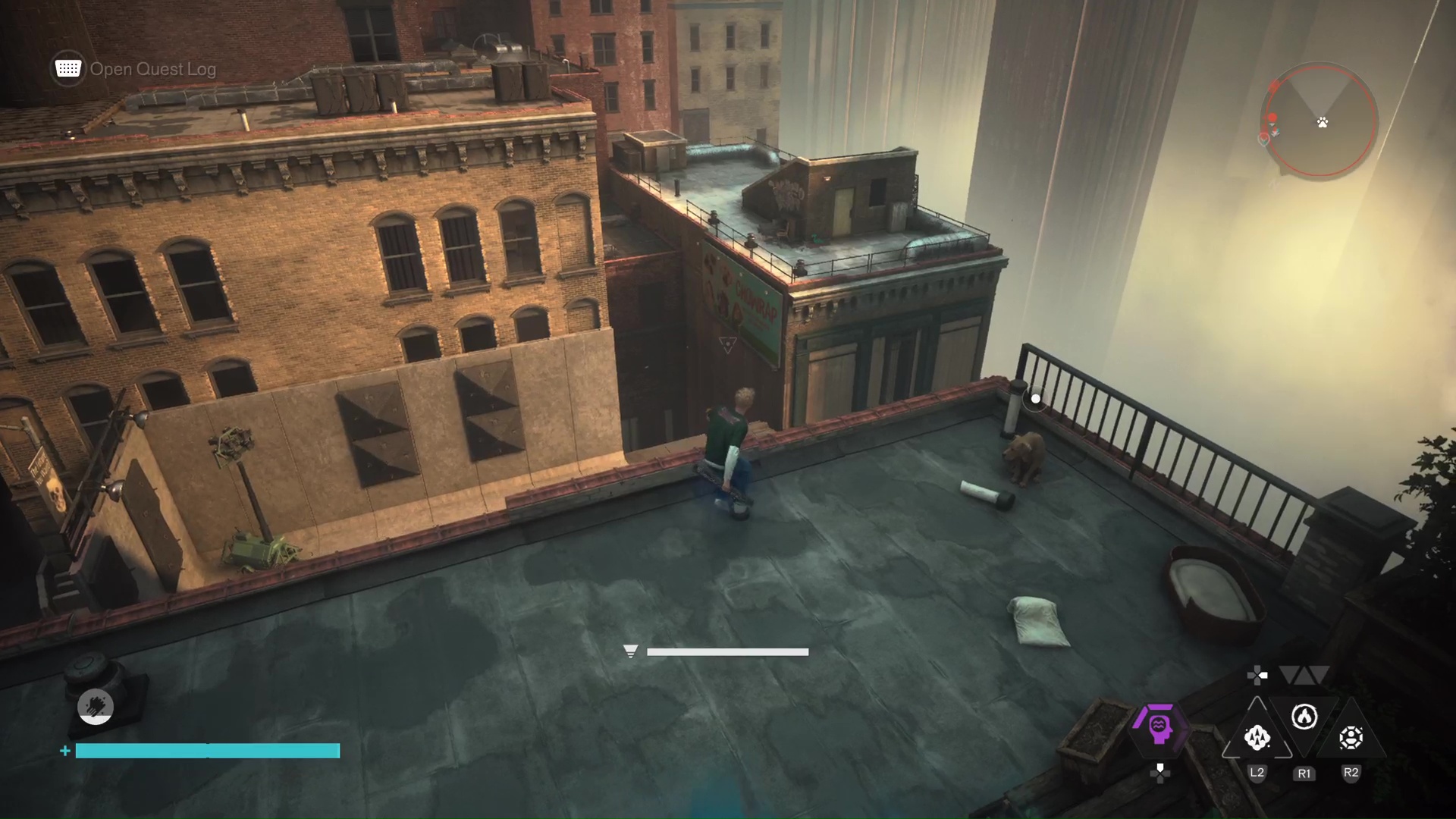Downtown Mysterious Dog in Control Resonant