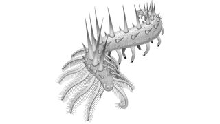 Behold, the bizarre Cambrian creature Collinsium ciliosum.