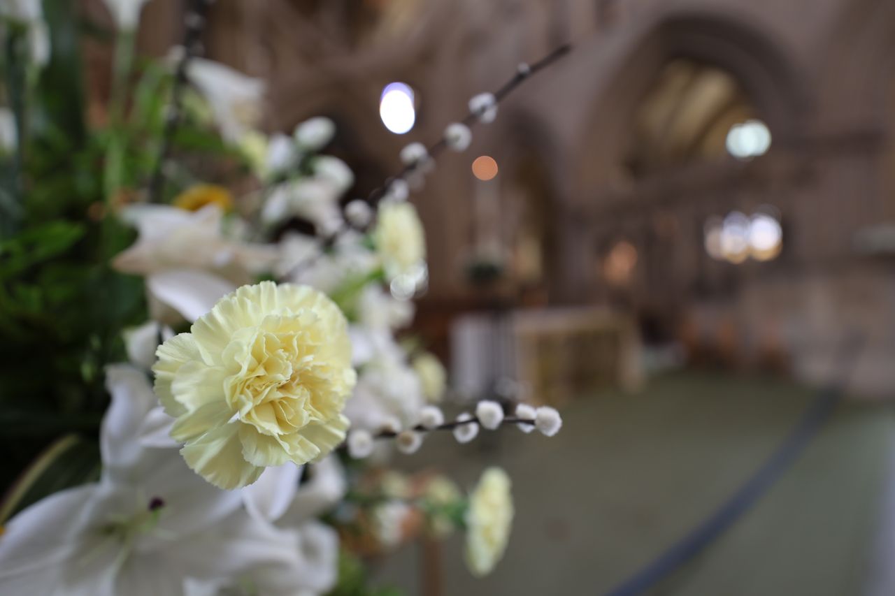 Canon RF 14mm f/1.4L VCM sample image