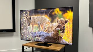 Samsung QN95D Neo-QLED TV slight angle on wooden hi-fi rack with screen showing lion cubs