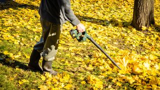 Man using a leaf blower in a park with yellow leaves all around.