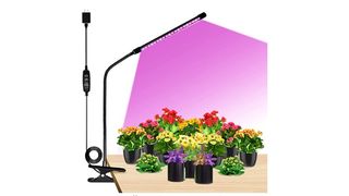 grow light