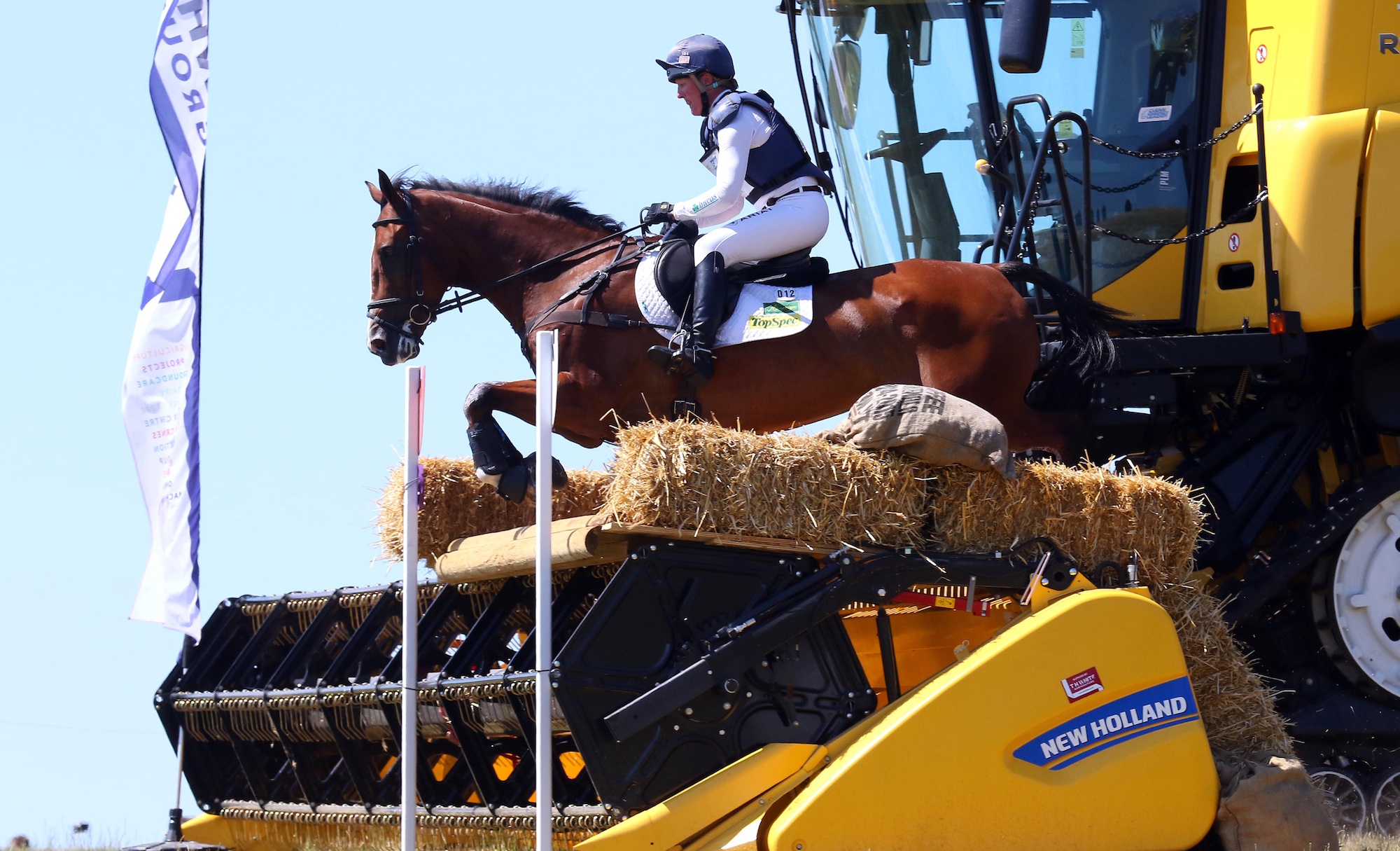 Nicola Wilson riding horse cross-country
