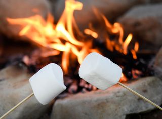 oasting marshmallows over a campfire , shot for copy space focus on foreground , blurred background for text overlay