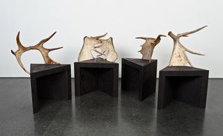 Stag Stool