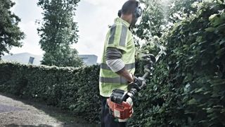 Image of man cutting hedge wearing safety equipment