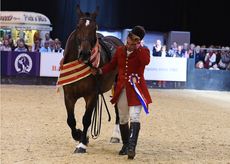 STARRY NIGHT ridden by Robert Walker for Camilla Neame, Champion in Class 38, Maxi Cob of the Year Championship, during Horse Of The Year Show at the NEC Birmingham, West Midlands, UK between 07-11th October 2015