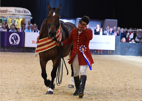 STARRY NIGHT ridden by Robert Walker for Camilla Neame, Champion in Class 38, Maxi Cob of the Year Championship, during Horse Of The Year Show at the NEC Birmingham, West Midlands, UK between 07-11th October 2015