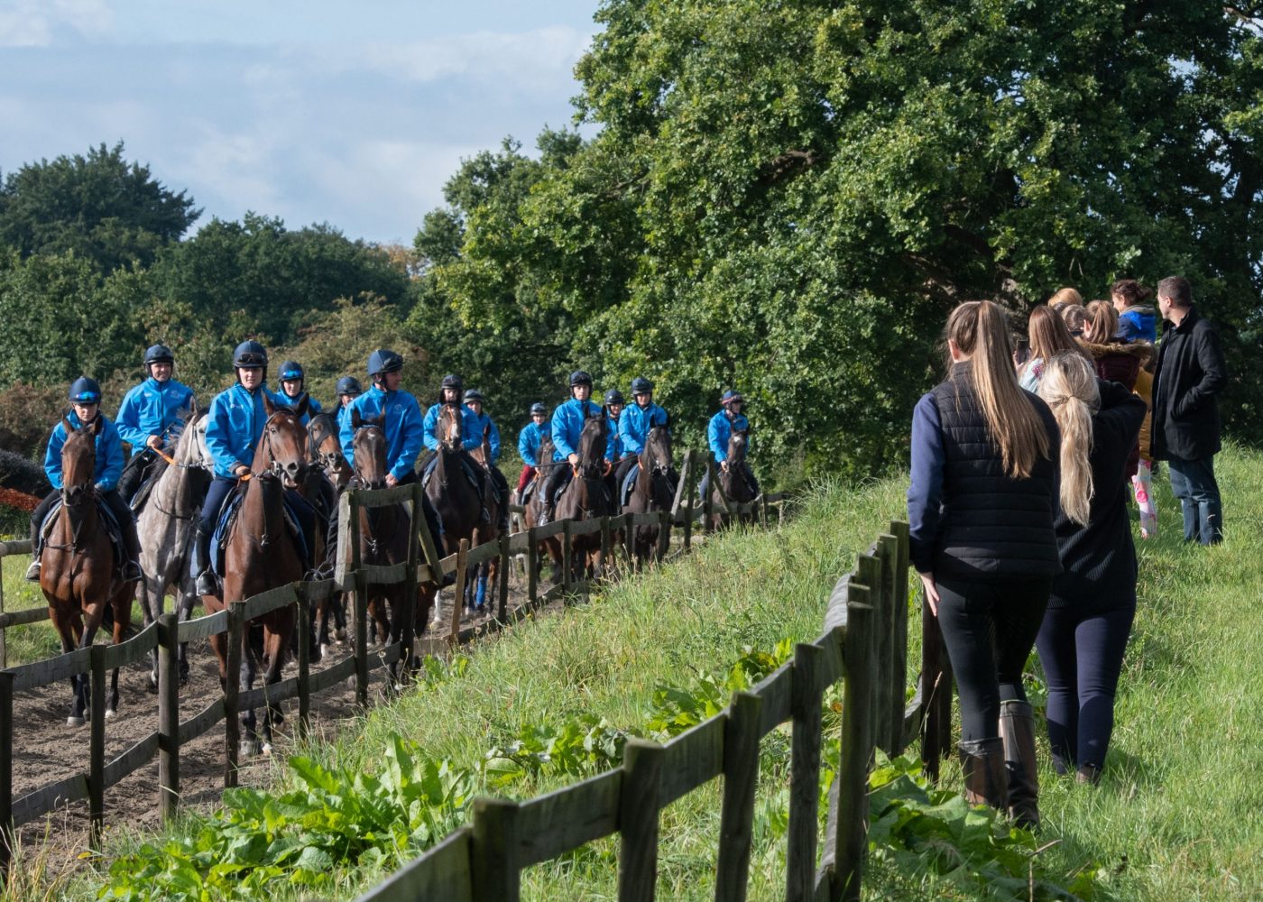 NRW-Visitors-watching-horses-on-the-gallops-scaled-e1687530746997.jpg
