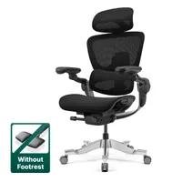 Hinomi H2 Pro Ergonomic Office Chair Hinomi H2 Pro Ergonomic Office Chair