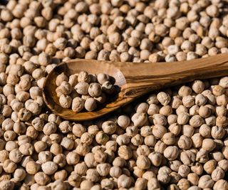 Dried chickpeas on a wooden spoon