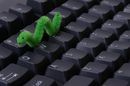 Computer worm