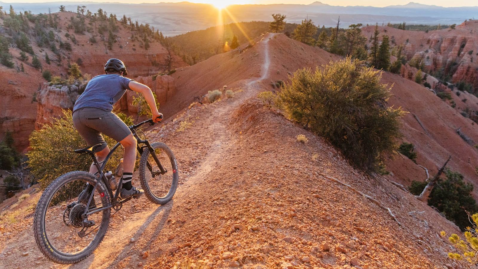 Tips for beginner mountain bikers essential new bike setup and riding