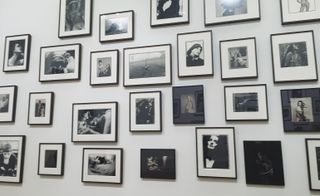 Collection of photographs on a wall