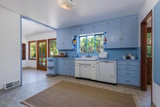 An all blue kitchen with wooden flooring