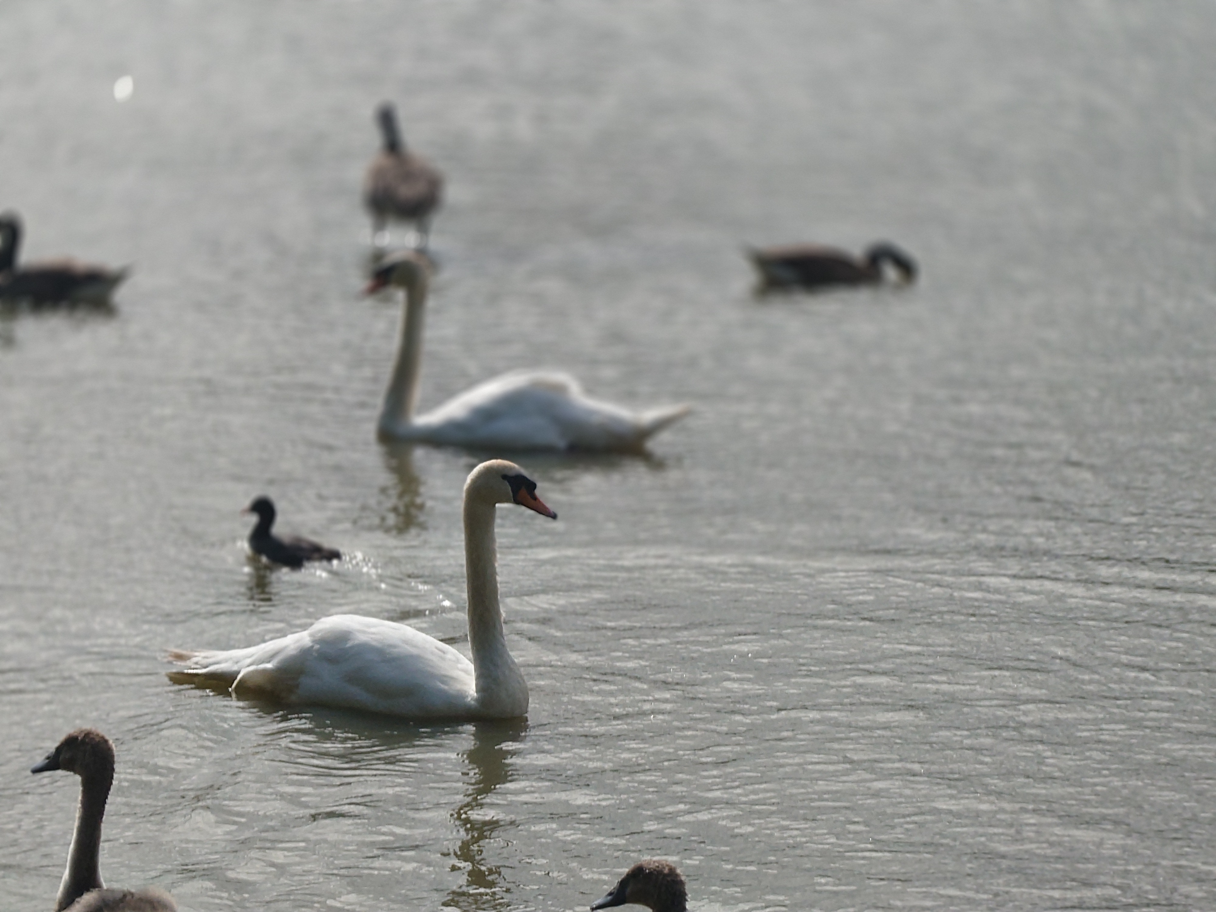 Sony Xperia 1 VII camera samples