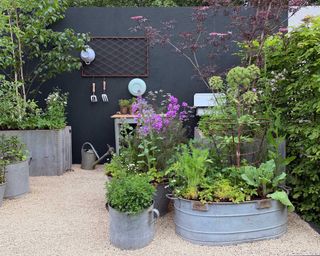 black wall in wild kitchen container garden at chelsea flower show 2022