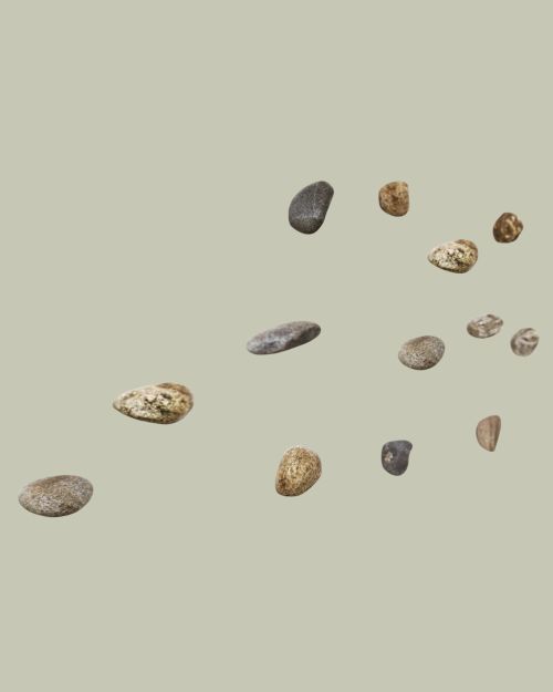 Meteore Coat Hook, Set of 5