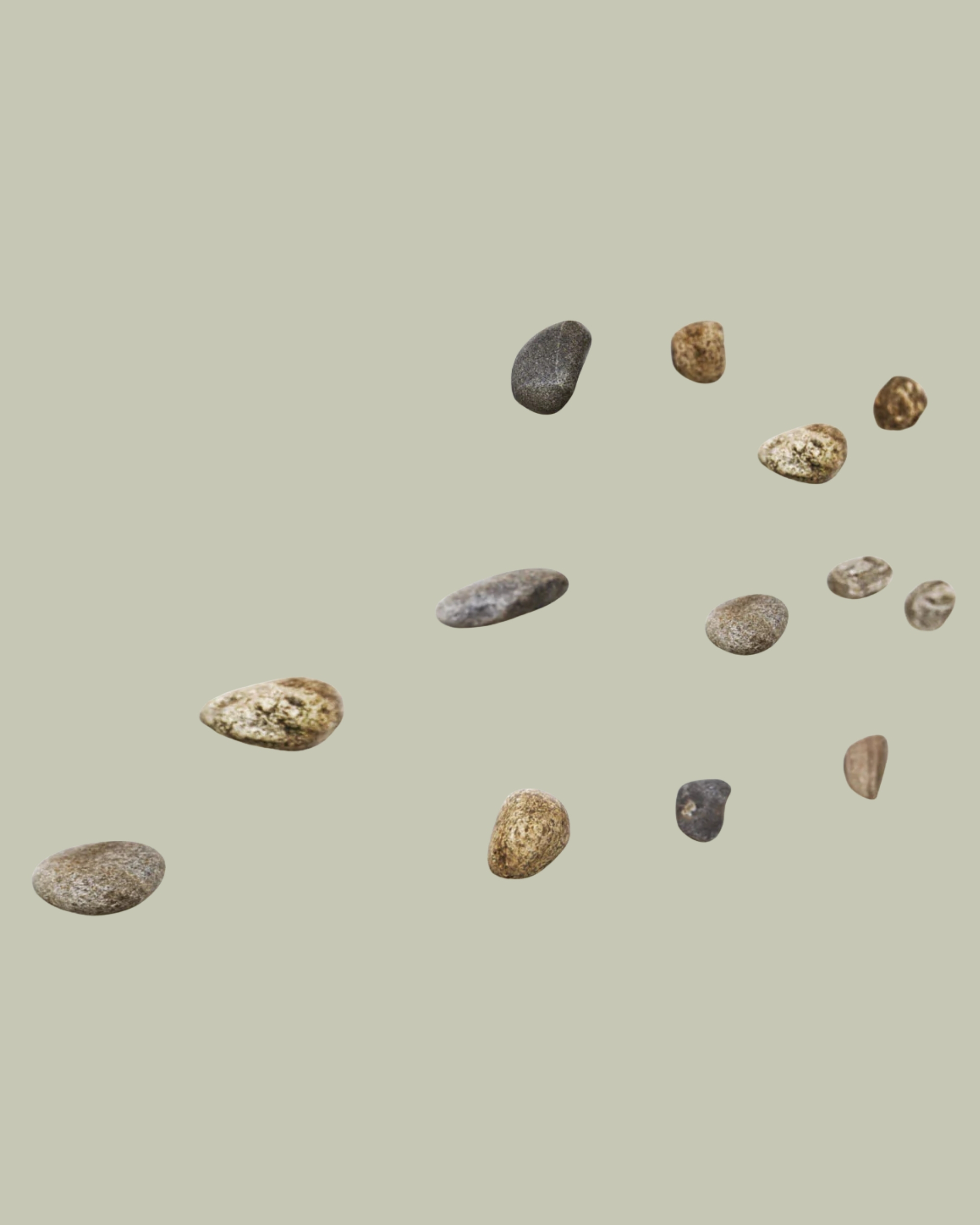 Meteore Coat Hook, Set of 5