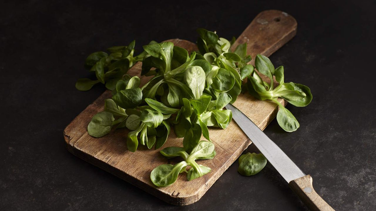 Corn salad leaves harvested on a wooden board