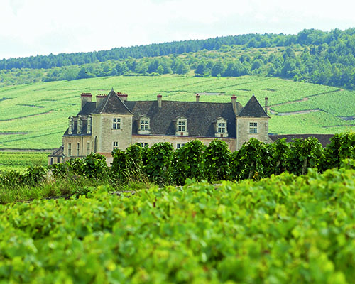 Clos de Vougeot