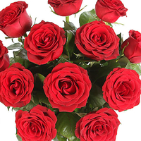 Serenata: A dozen red roses for £29.99
Save £5: