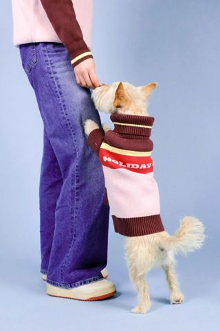 Barc dog jumper