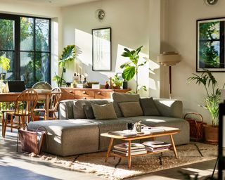 sunny living room with houseplants