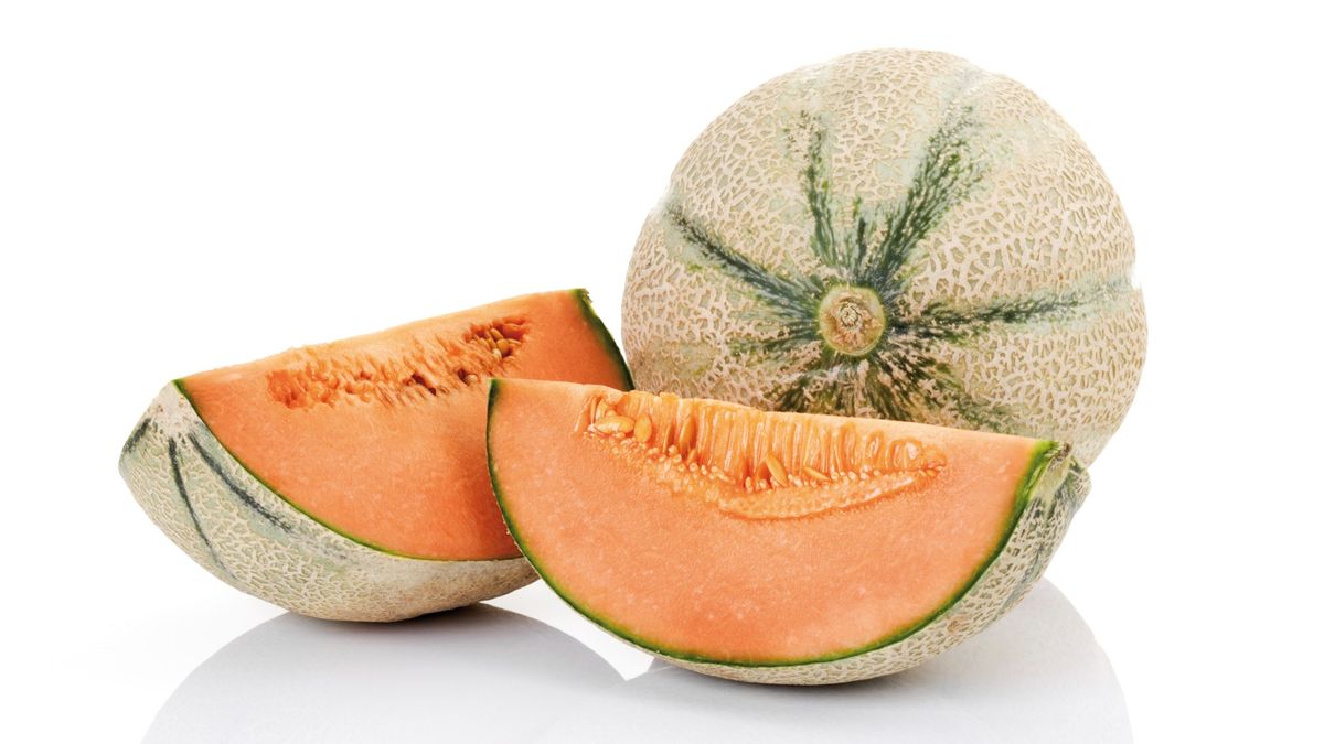 Can dogs eat cantaloupe? Dietary advice and feeding tips PetsRadar