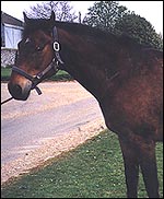 B68C31EE-A156-477C-AA36-E552B40163CB.jpg