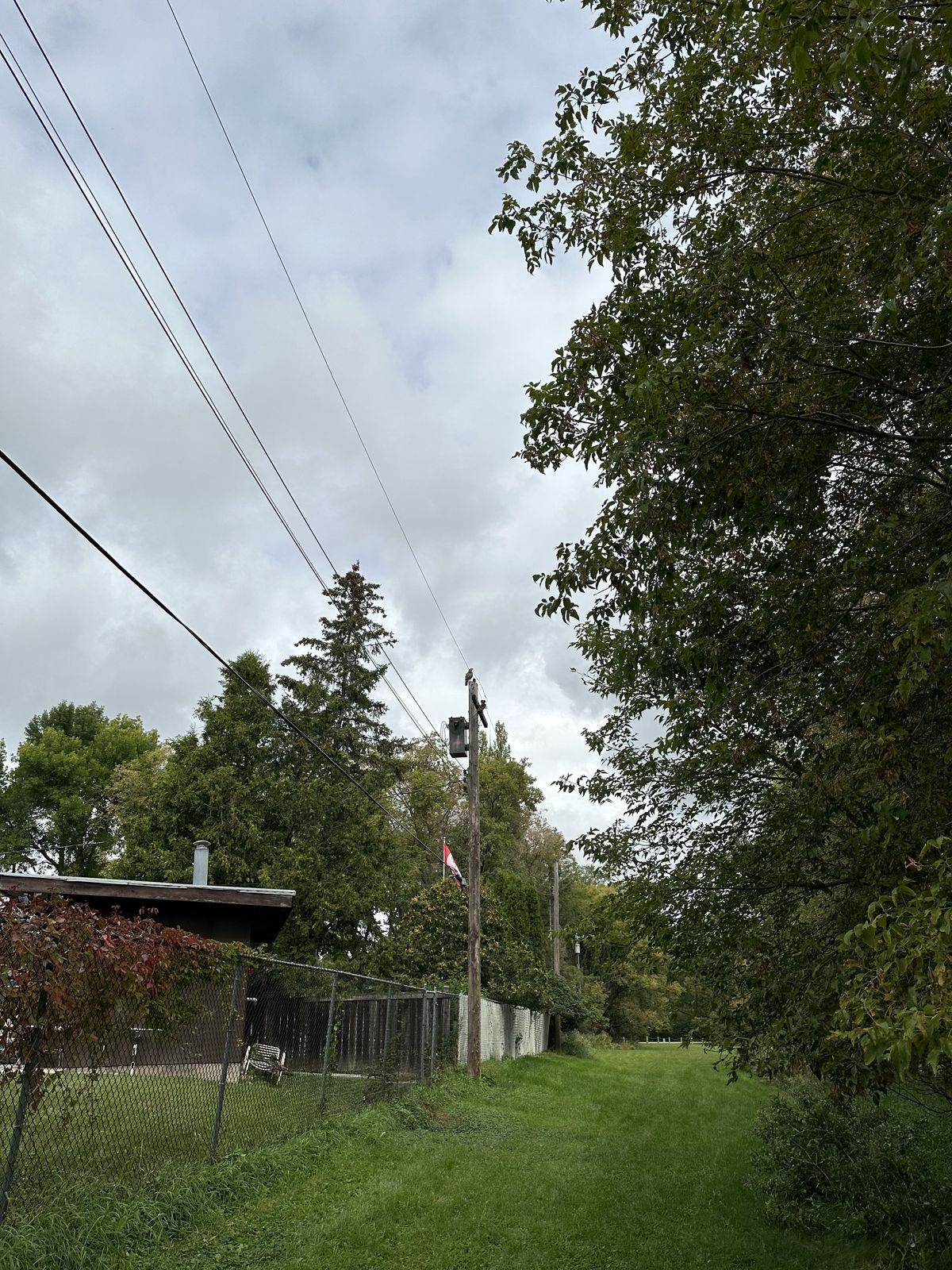 Hawk on pole with a Canadian flag underneath taken with an iPhone 14 Pro