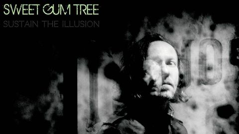 Sweet Gum Tree - Sustain The Illusion album artwork