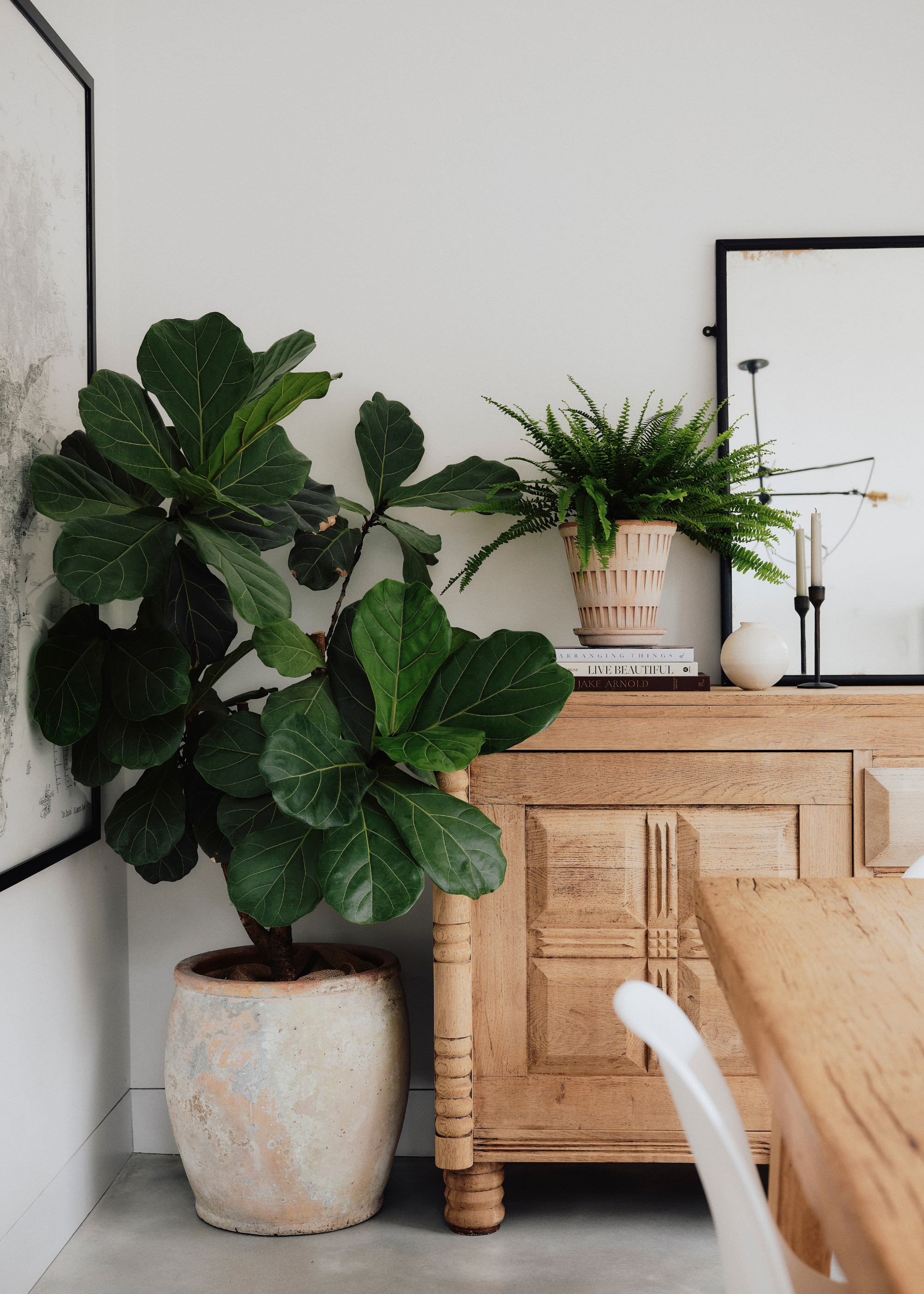 A potted fiddle leaf fig and a Boston fern in ceramic planters by a wooden sideboard holding books and a pair of candlesticks