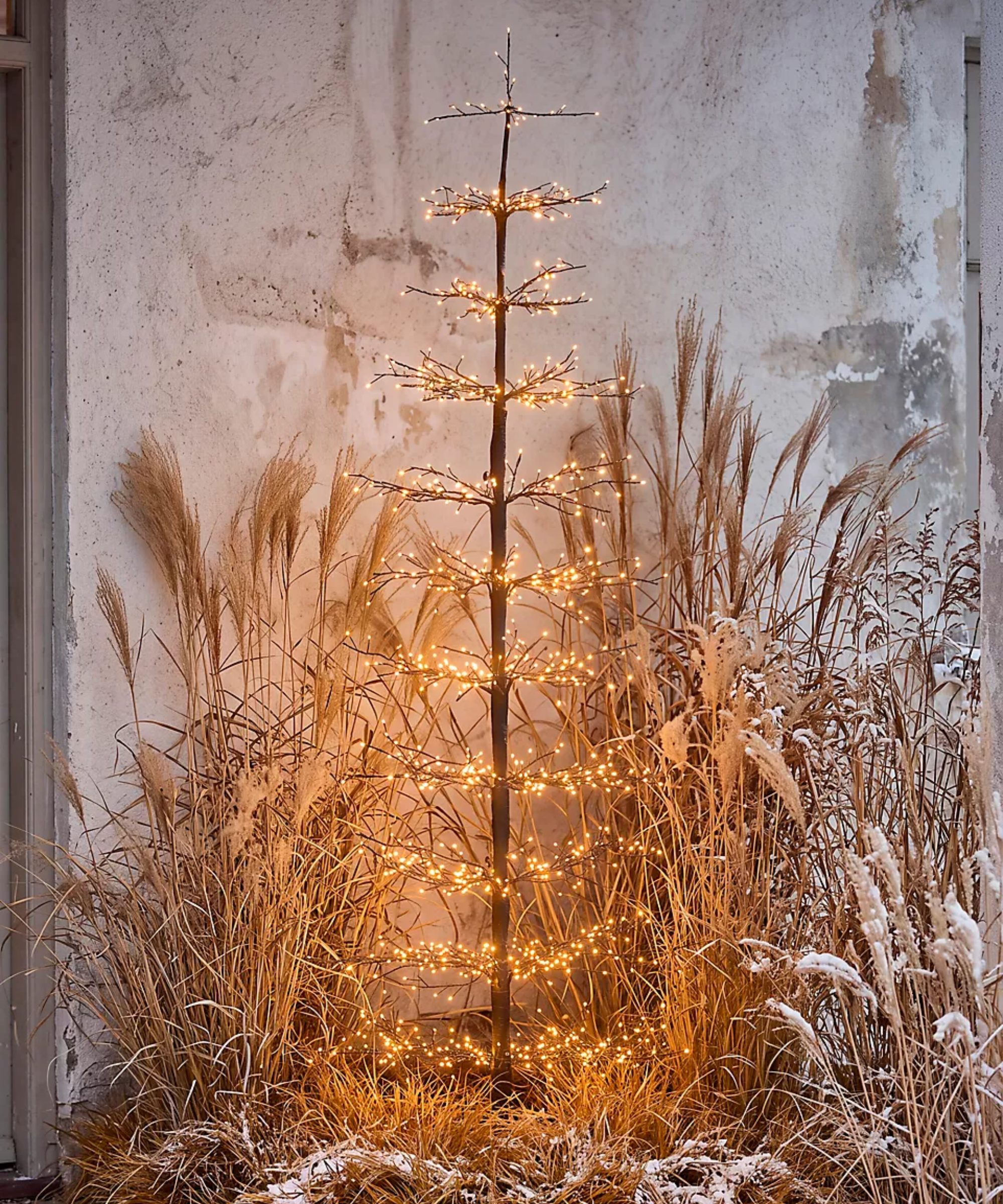 a lit outdoor Christmas tree