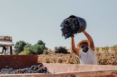 BVC_harvest.jpg