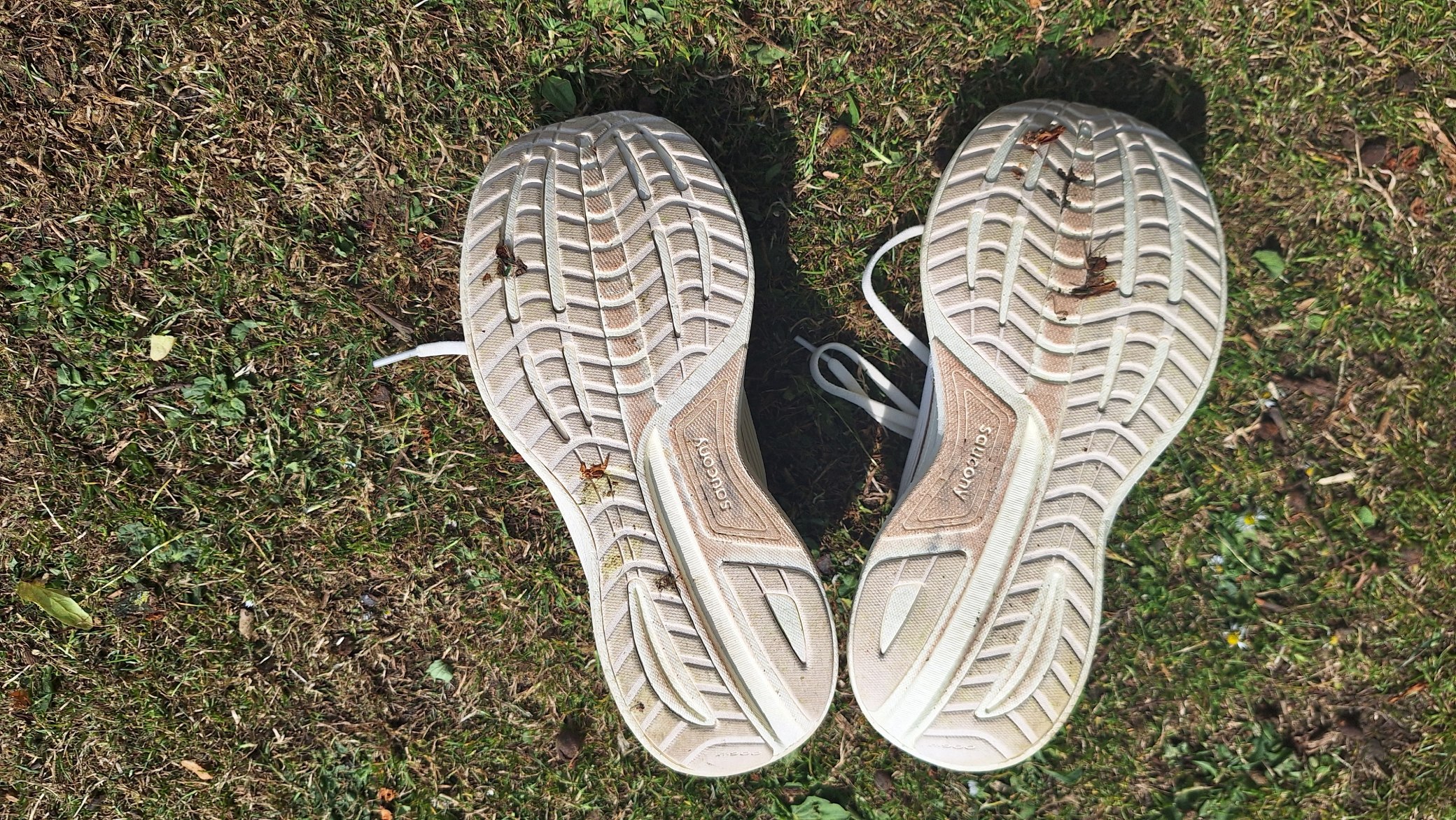 Saucony Ride 18