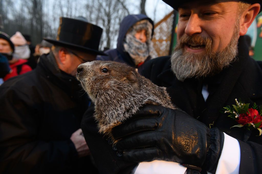 Ohio Police Department Shares Punxsutawney Phil Wanted Poster After ...