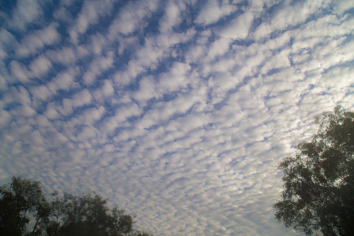 Stratocumulus clouds