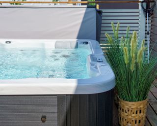 A Hot tub next to a green plant in a rattan pot