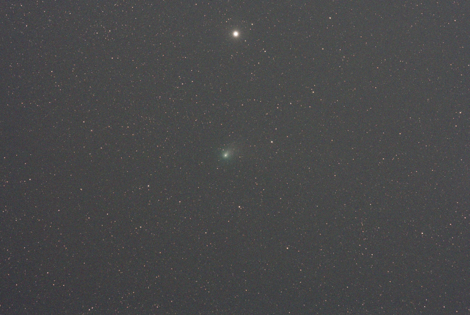 A single exposure image of the comet taken by Steve Pauly of Knoxville, Tennessee with a 135 mm lens.