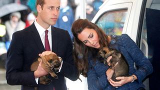 Prince William, Kate Middleton with puppies