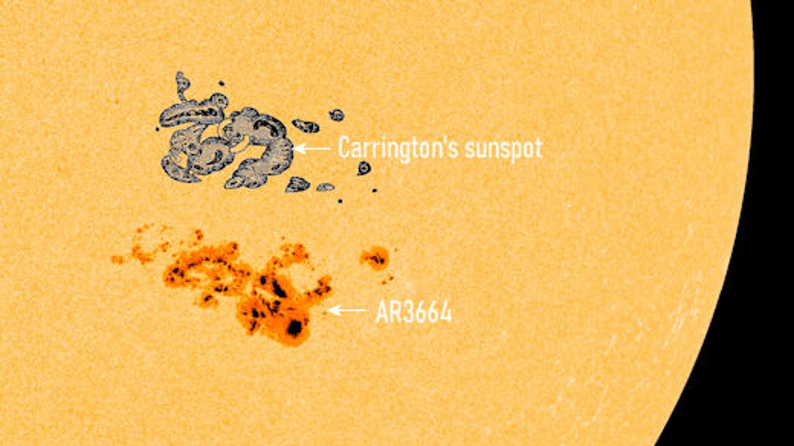 A size compariosn between AR3664 and the Carrington sunspot