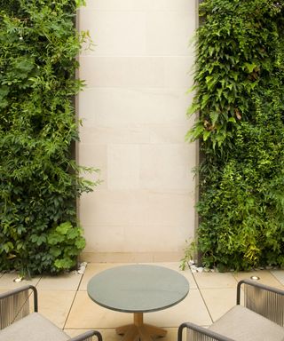 An example of living wall ideas showing a garden wall covered in plants with patio stones laid in the centre