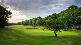 Berkhamsted Golf Club - Hole 7