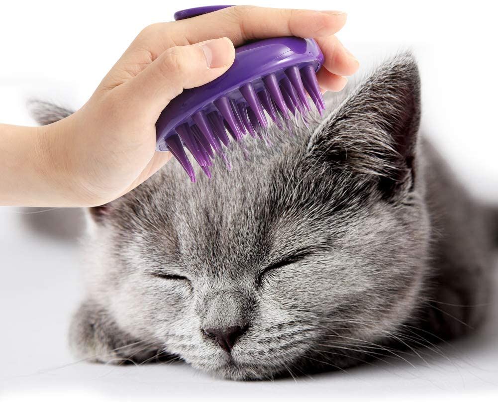 A vet's guide to grooming aggressive cats PetsRadar
