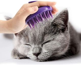 Cat being groomed with silicone cat brush