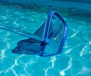 skimming a pool with a net to remove debris