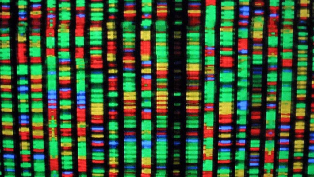 A digital representation of the human genome.