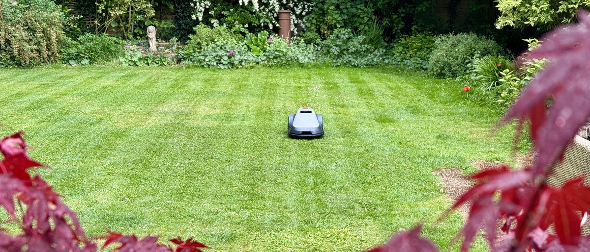 I tested the Eufy E15 robot lawn mower, and it's so easy to use even technophobes will love it