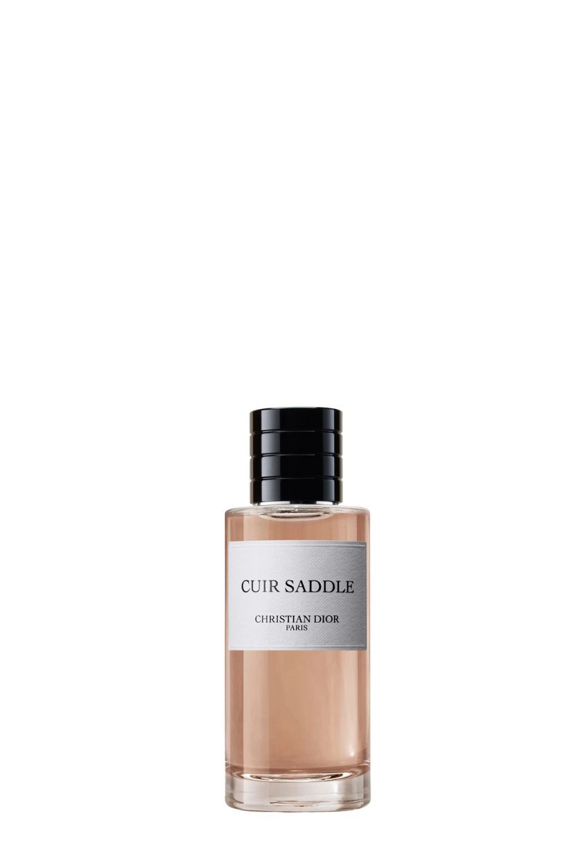 Dior, Cuir Saddle
